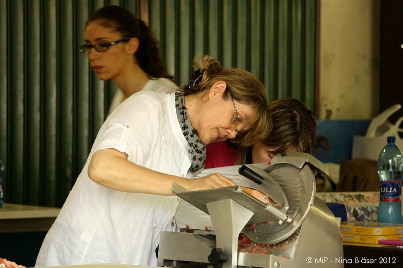 2012-07-01 B & B - Bedlington & Bichon Fun Day (104)_1500x1000.jpg